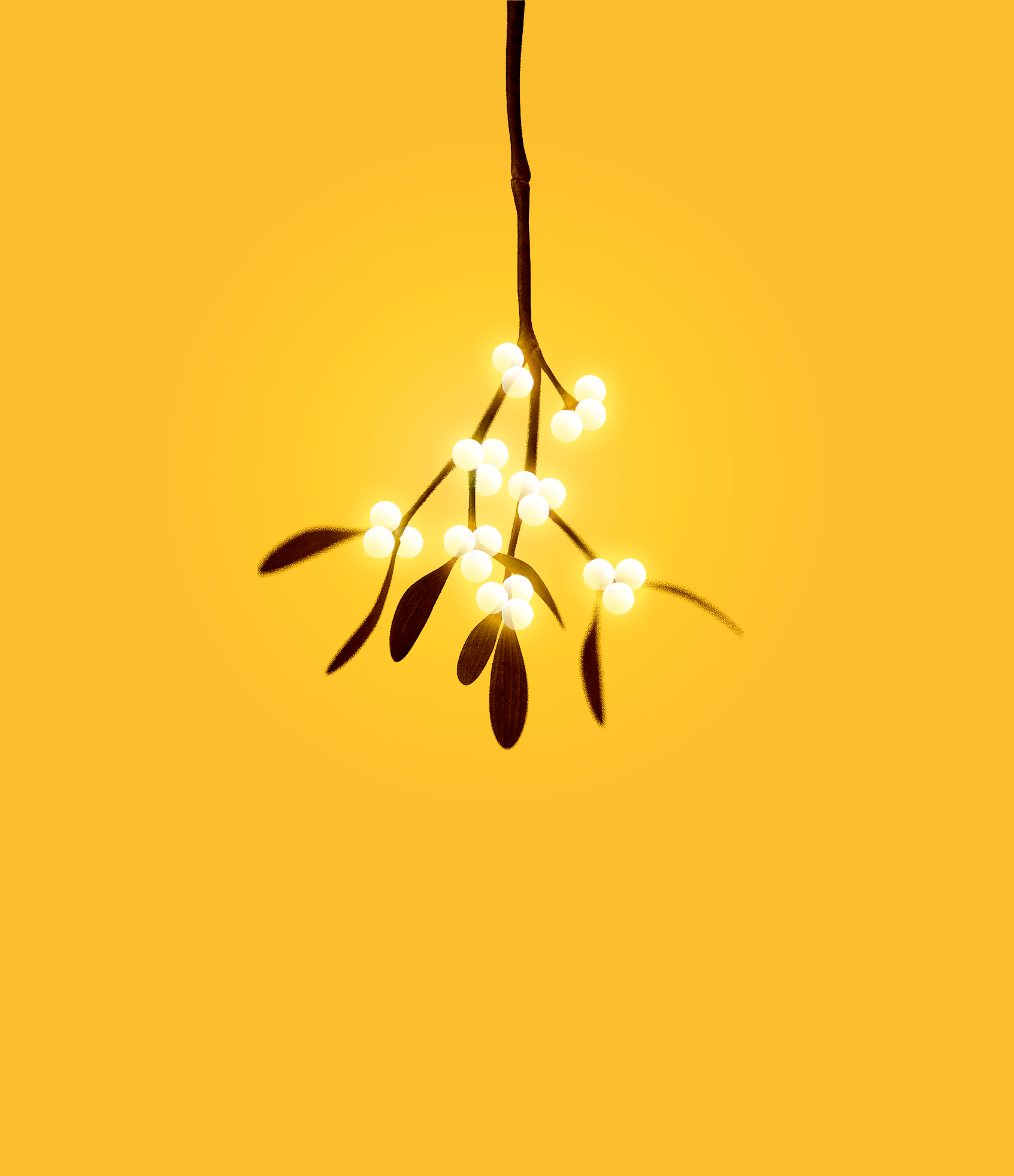 Rama de muérdago con bayas blancas luminosas